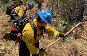 Corpsmembers on the Pomona 1 fire crew cut fire line with hand tools on the Peak Fire near Crestline, CA.