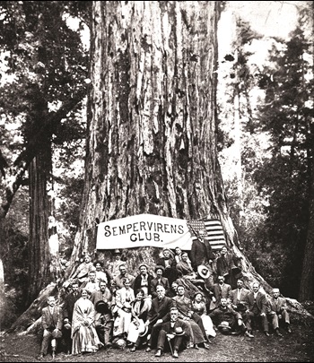 The Sempervirens Club in front of a redwood tree