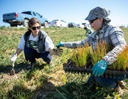 Restoration activity