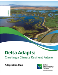 Delta Adapts
