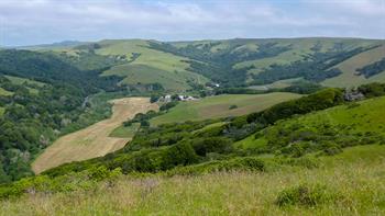 Marin County