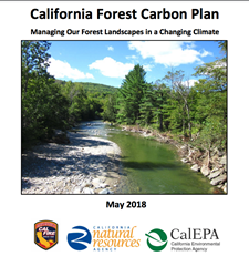 CA Forest Carbon Plan