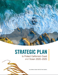 Strategic Plan to Protect CAs Coast and Ocean 20202025