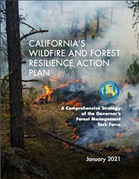 Wildfire Plan cover
