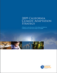 Report Cover