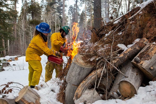 Slash Burn