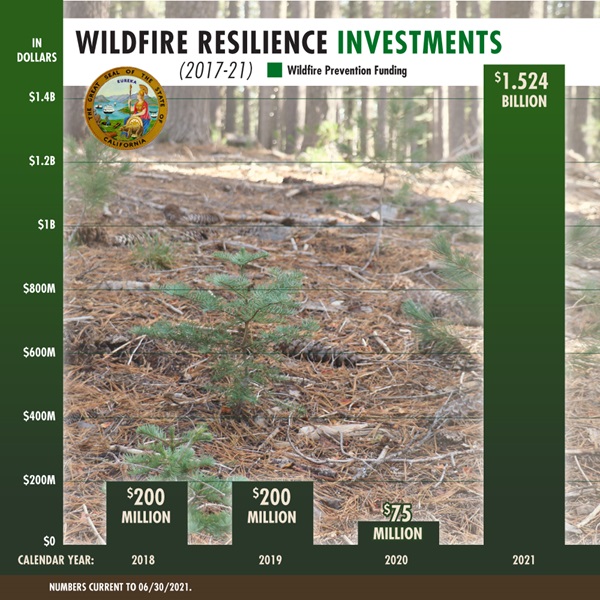 Chart of investments