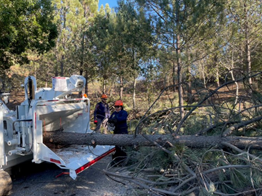 State Parks woodchipper operating in the Diablo Range