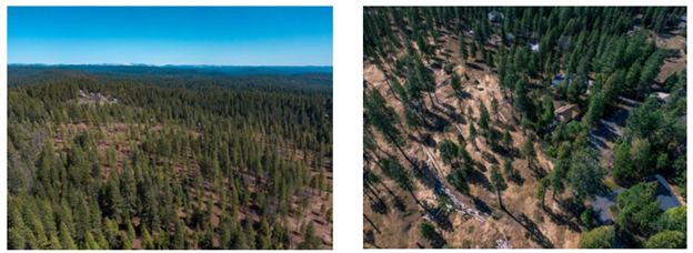 Fuel treatments can significantly modify fire behavior by reducing fire severity, size, and rate of spread, as well as create a buffer and protect homes and communities. This fuel treatment near the communities of Arnold and Avery in Calaveras County is representative of the types of fuel treatment projects that were supported by early action funding.