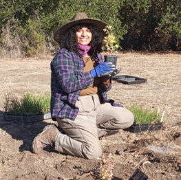 Santa Monica Mountains Conservancy restoration intern planting an oak tree.