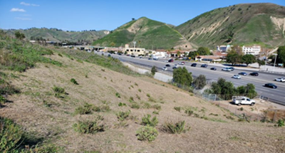 Completed roadside vegetation management project to reduce ignition risk posed by nearby US Highway 101