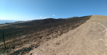 Grant to the Land Trust for Santa Barbara County to implement prescribed herbivory to reduce fuel loads and create a buffer to prevent wildfire spread in the southern portion of Arroyo Hondo Preserve. 