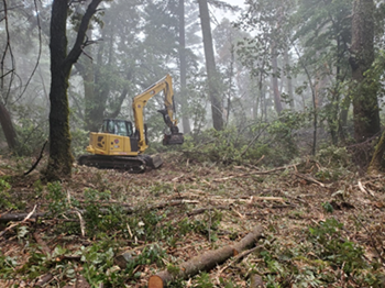 Grant to the to the Marin Municipal Water District to implement vegetation management projects identified in the Biodiversity, Fire, and Fuels Integrated Plan (BFFIP) in the Mount Tamalpais Watershed, and to reduce ladder fuels in the Marin County Parks Blithedale Summit Preserve.