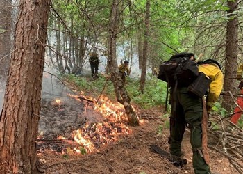 CCC Pomona Corpsmembers with CAL FIRE partnered Crew 1 work to construct handline in a remote section of forest near Pollock Pines in El Dorado County to slow the spread of the Caldor Fire.