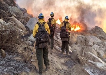 Los Piños Center Corpsmembers approach the flames of the Airport Fire in Corona, CA.