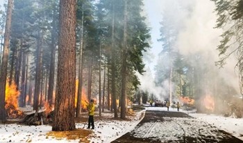 CCC Tahoe fire crews help with burn piles in the greater Tahoe Basin. Those piles removed dead vegetation and other debris that could help fuel large wildfires this summer and fall.