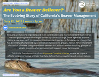 Are You a Beaver Believer? Panel Flyer