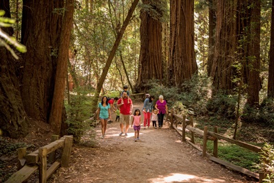 Families Hiking at Henry Cowell Redwoods State Park