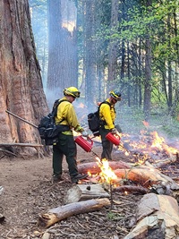 Can Fire be a Friend