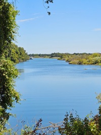 Protecting our Wetlands