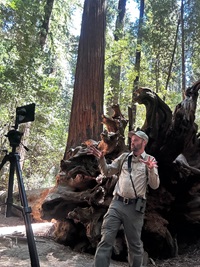 Redwood Earth Cycles