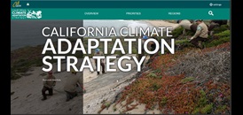 CA Climate Strategy
