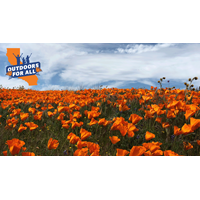 Outdoor for All white