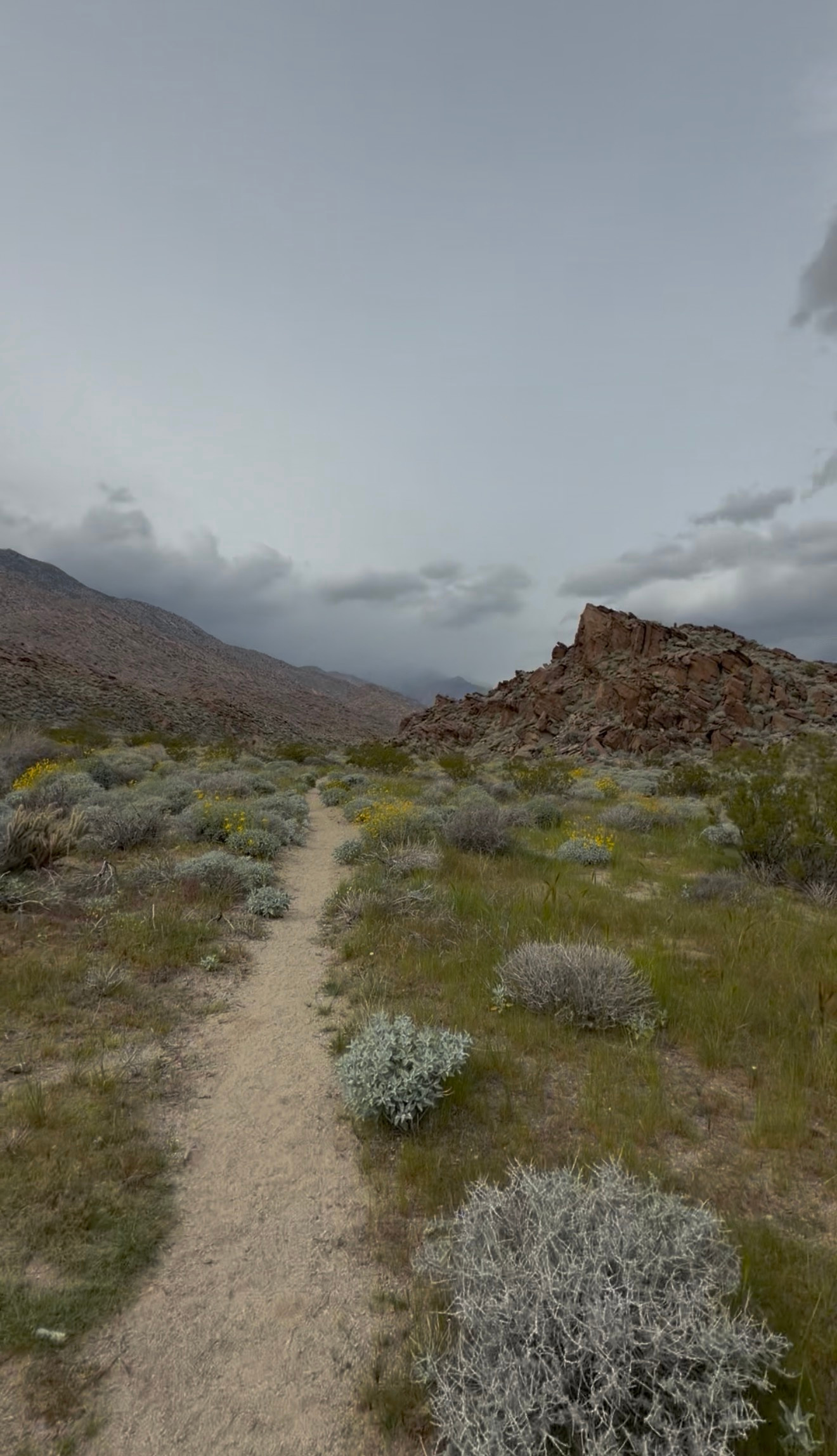Regenerative Tourism for Tribal Stewardship