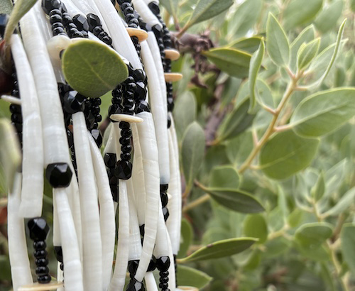Image of Dentalium Necklace