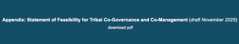 Appendix Feasibility for Co Governance button