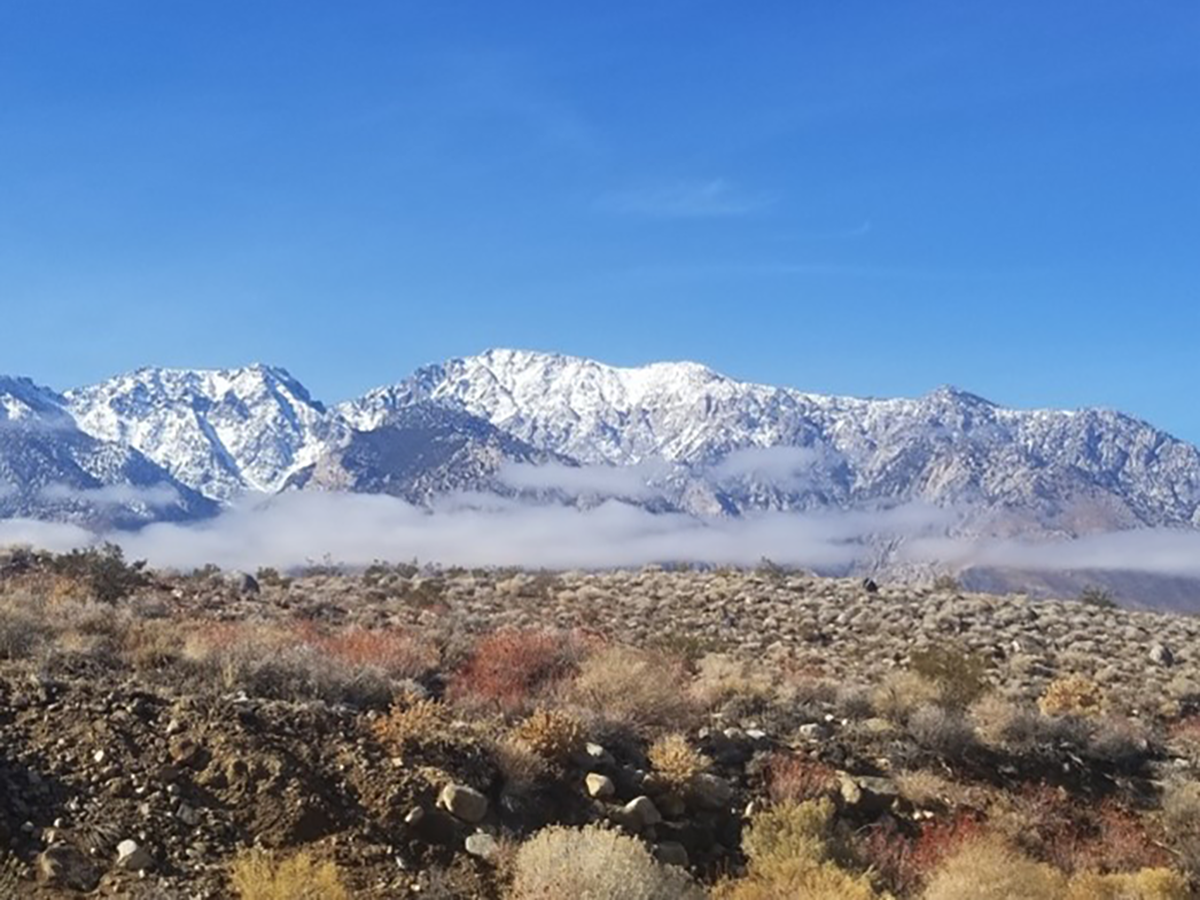 Snow-covered mountain range above a desert valley with low clouds and shrubs under a clear blue sky.