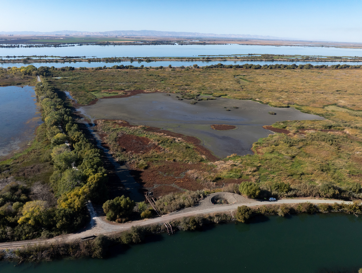A drone view of the Prospect Island Tidal Habitat Restoration Project is a 1,600-acre project site that supports recovery of Delta smelt, Chinook salmon, and many other Delta-dependent fish and wildlife species while providing long-term resiliency with climate change. The $69.4 million project is funded by both the Department of Water Resources and US Bureau of Reclamation. The project is necessary for the long-term operations of the State Water Project and the federal Central Valley Project.. Photo taken November 7, 2024. 