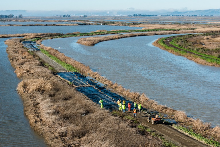 DWR staff prepare overtop protection on the levees at Grizzly Island.