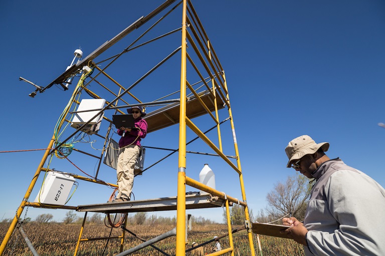 California State University, East Bay, research technician Daphne Szutu (left), and graduate student research assistant Brandon Broach — both with the Department of Earth, Environmental and Sustainability Sciences — gather data from eddy covariance flux towers as colleagues take core samples of biomass on Twitchell Island after a pilot-scale burn coordinated by Division of Multibenefit Initiatives scientists on land managed by the California Department of Water Resources in the Sacramento-San Joaquin River Delta, Sacramento County. Photo taken March 11, 2026.