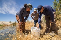 Specially-trained California Department of Water Resources staff members Vanessa Velasco (left) and Nicholas Burgos (right) support California Department of Fish and Wildlife staff member Sharon Keeney to set and collect traps for pupfish during a survey conducted by CDFW at a drain north of the Salton Sea in Riverside County. 