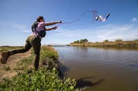 California Department of Water Resources Water Quality Scientist Vivian Klotz, with the Division of Integrated Science and Engineering, collects a water sample after conducting a sonde exchange at Meins Landing on Montezuma Slough in Suisun Marsh, Solano County. Sondes measure the water’s temperature, pH (acidic or basic level of hydrogen), dissolved oxygen (oxygen levels available to aquatic organisms), and turbidity (the clarity of water). 