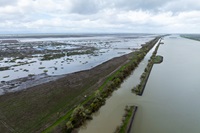 A drone view shows the Lower Elkhorn Basin Levee Setback (LEBLS) Project in Yolo County when inundated with water.