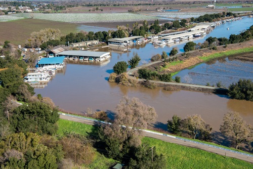 levee along Tyler Island near Walnut Grove