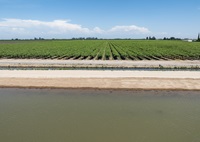 A drone photo of water diverted onto a newly constructed groundwater recharge basin at Mountain View and Temperance near Selma in Fresno County, California. Photo taken May 13, 2024.