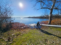 CDFW staff use a long pipe to plant steelhead trout in Mile Long Pond at the Oroville Wildlife Area. 