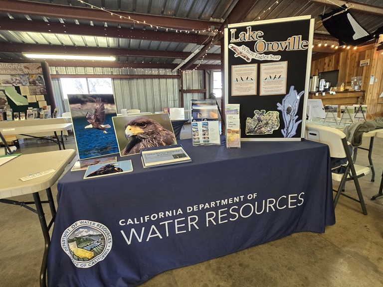 DWR’s booth at the Snow Goose Festival in Durham highlights bald eagle habitat at Lake Oroville.