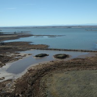 An aerial view of a designated brood pond area at the Thermalito Afterbay. Water surrounds two small, vegetated islands. 