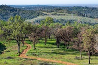 A morning view of Brad Freeman Trail located above the diversion pool in Oroville, California.