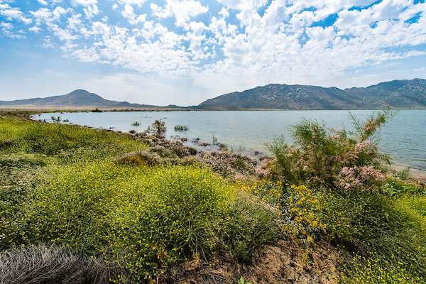 View of Lake Perris