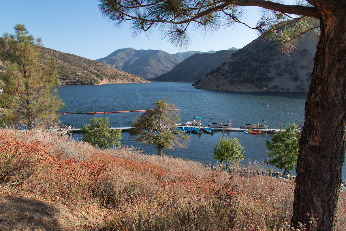 Algal Bloom Increases to Warning Level at Pyramid Lake
