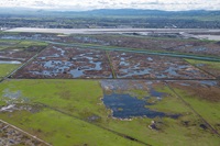 Aerial view looking south of wetlands on Sherman Island and San Joaquin River background, both part of the Sacramento-San Joaquin River Delta in Sacramento County, California. Photo taken March 08, 2019.