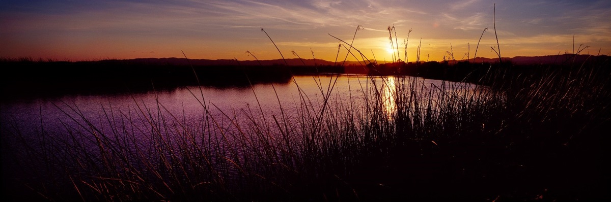 Sunset in Suisun Marsh