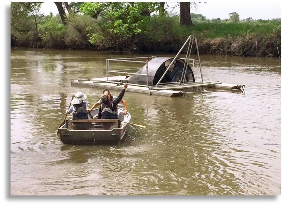 Rotary Screw trap in Yolo Bypass Fish Monitoring