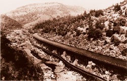 49ers built miles of flumes that carried water for gold mining.