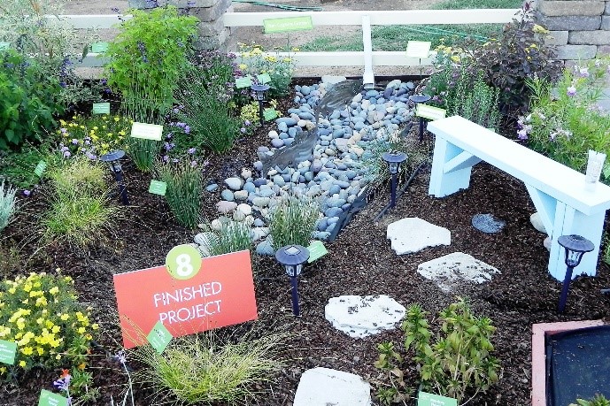 Rain wise garden